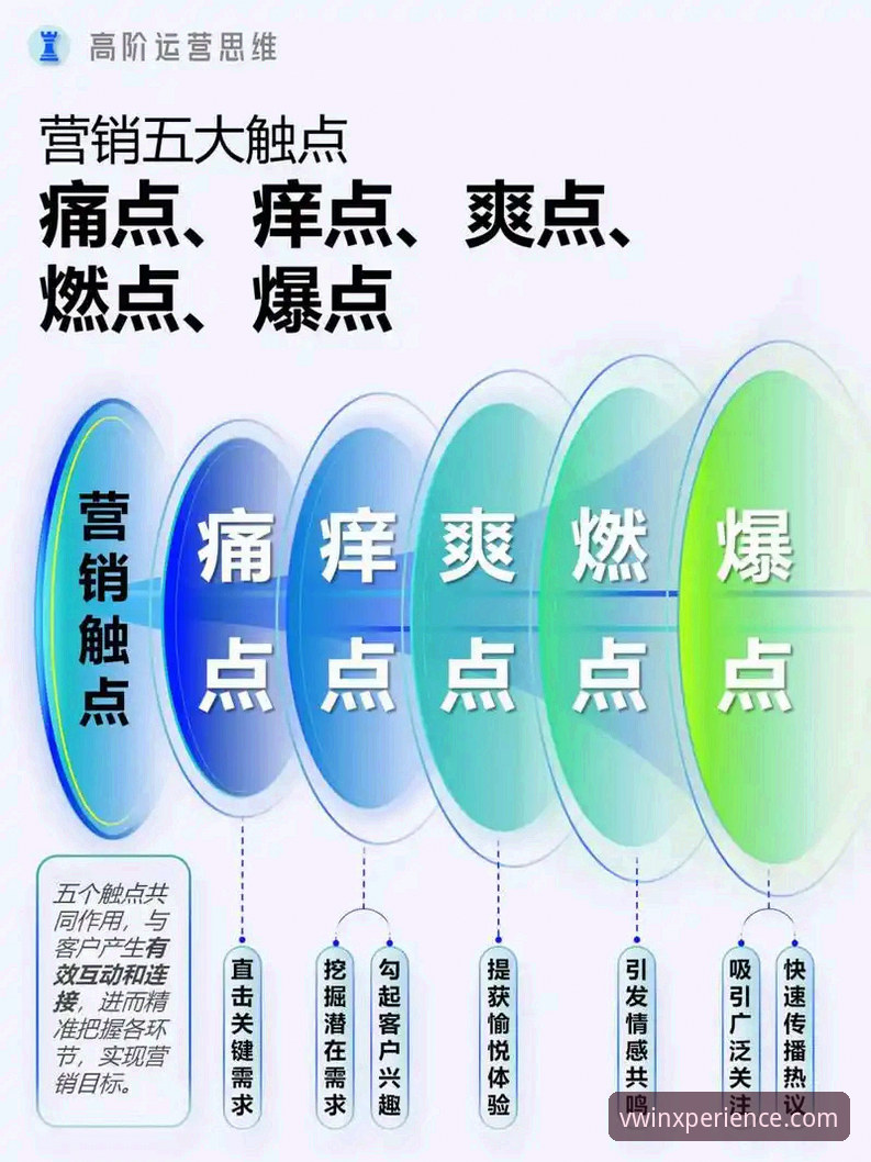 德赢体育下载常见问题最新解答：用户痛点与平台应对策略全面解析